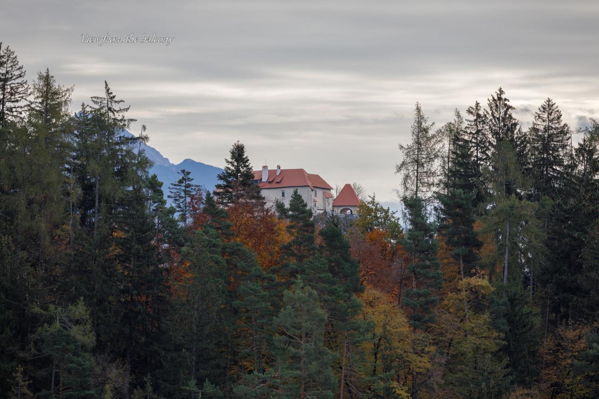 Apartment Mavrica Bled, Quiet Location, With A View Of The Lake Exteriér fotografie